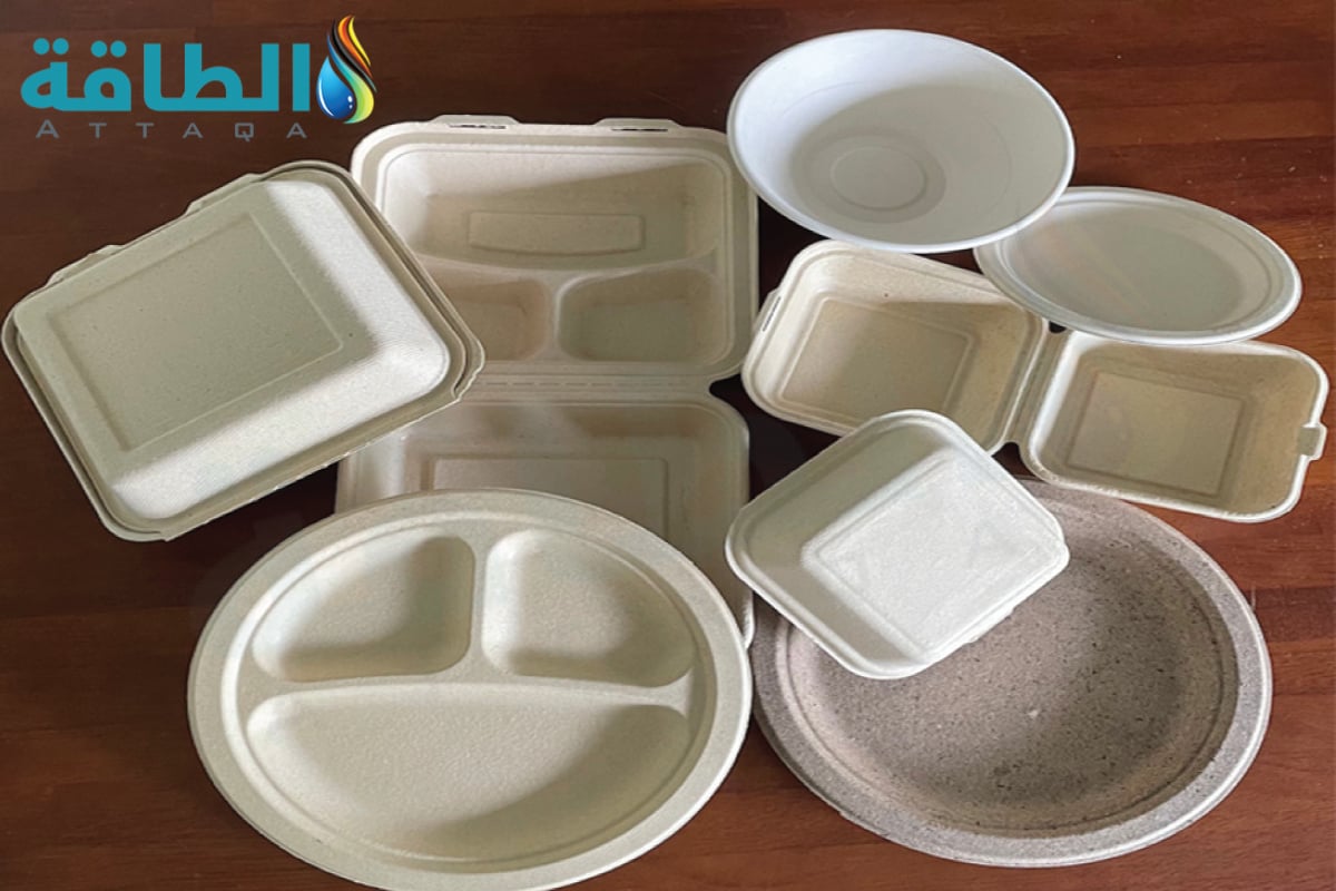إعادة تدوير المخلفات لصنع أطباق صديقة للبيئة