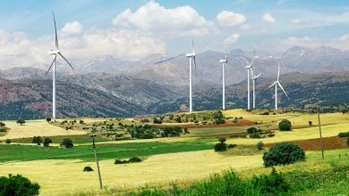 Photo of طاقة الرياح في تركيا تستهل 2026 بتحقيق مستويات قياسية