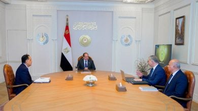 Photo of مصر تطلق أول مسح جوي شامل للثروات المعدنية منذ 40 عامًا