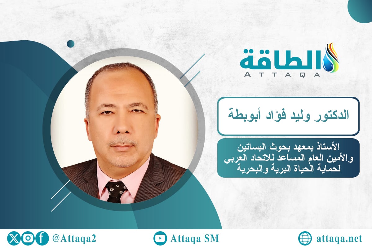 خفض الانبعاثات الكربونية