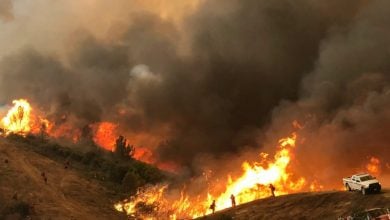 Photo of شركة كهرباء أميركية تقاضي سلطات لوس أنجلوس بسبب حريق