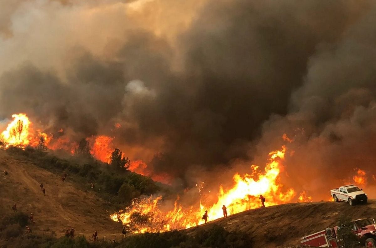 شركة كهرباء