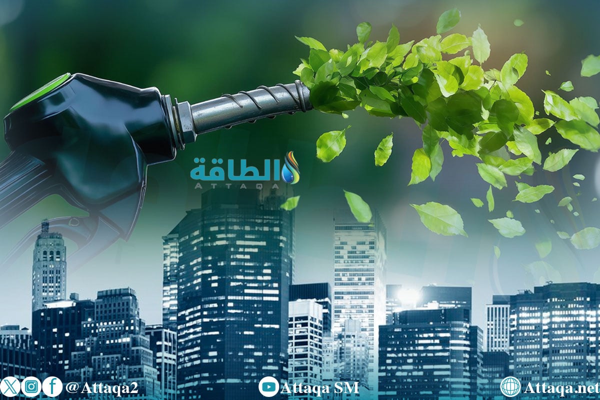 إنتاج الوقود الأخضر في الشرق الأوسط وشمال أفريقيا