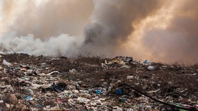 Photo of تقنية حيوية تحول غاز الميثان إلى بلاستيك ووقود نظيف