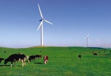 Photo of الطاقة المتجددة في أستراليا تضيف 7 غيغاواط إلى الشبكة خلال 2025