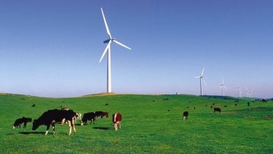 Photo of الطاقة المتجددة في أستراليا تضيف 7 غيغاواط إلى الشبكة خلال 2025