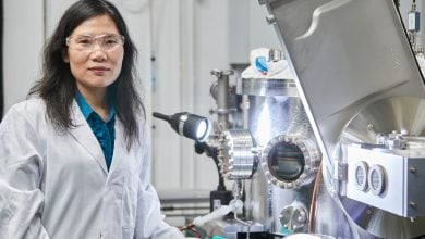 Photo of مادة سحرية تعزز كفاءة الألواح الشمسية.. أرق من شعرة الإنسان