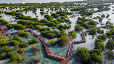 Photo of العمل المناخي يتصدر اهتمامات مؤسسات إماراتية.. خطوات نحو الاستدامة (تقرير)