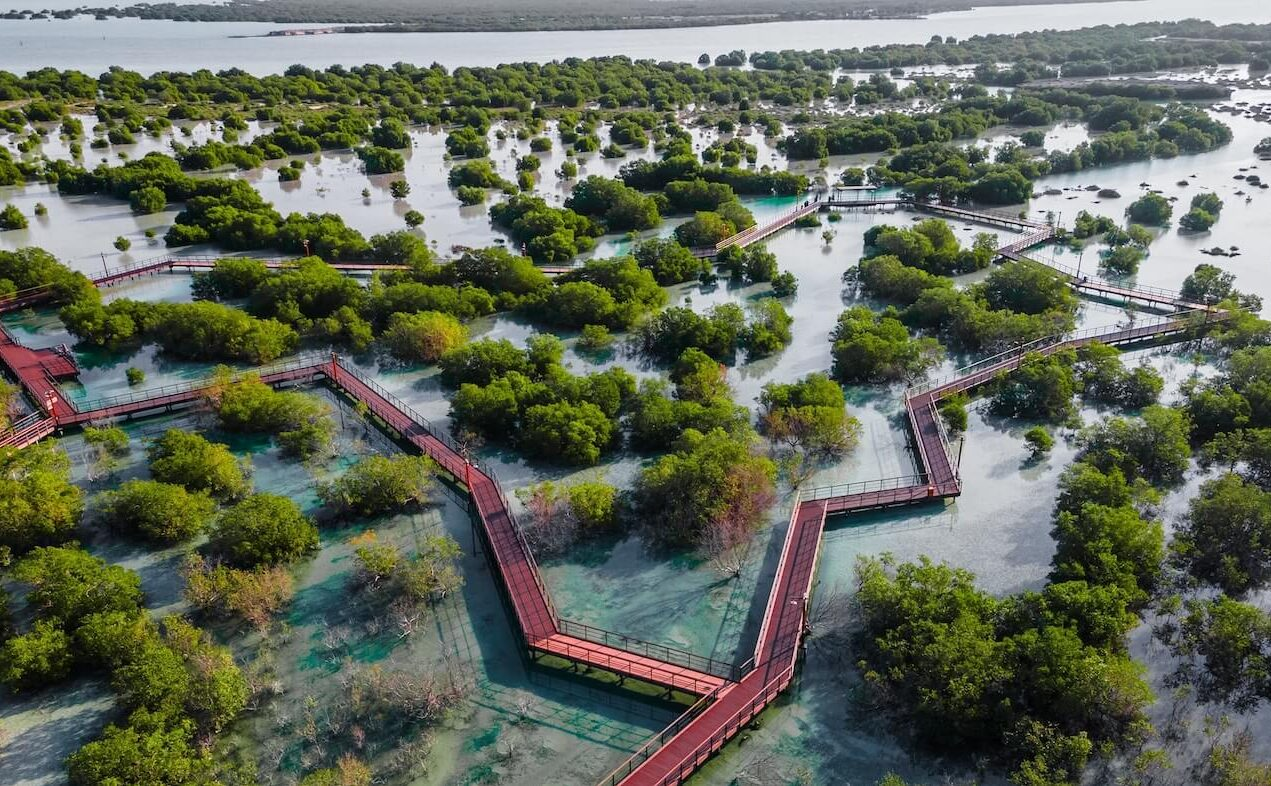 العمل المناخي