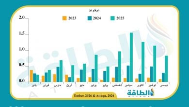Photo of واردات الإمارات من الألواح الشمسية الصينية تسجل مستوى قياسيًا في 2025