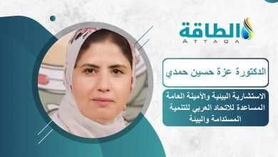 Photo of خبيرة تبرز دور المدارس الخضراء في خفض الانبعاثات وتعزيز كفاءة الطاقة