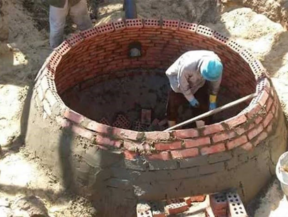 الطاقة الحيوية في مصر