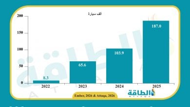 Photo of طفرة السيارات الكهربائية في تركيا لم تخفّض واردات الطاقة حتى الآن (تقرير)