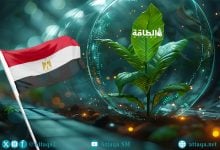 Photo of الطاقة الحيوية في مصر.. قدرات محدودة وخطط توسع حتى 2040