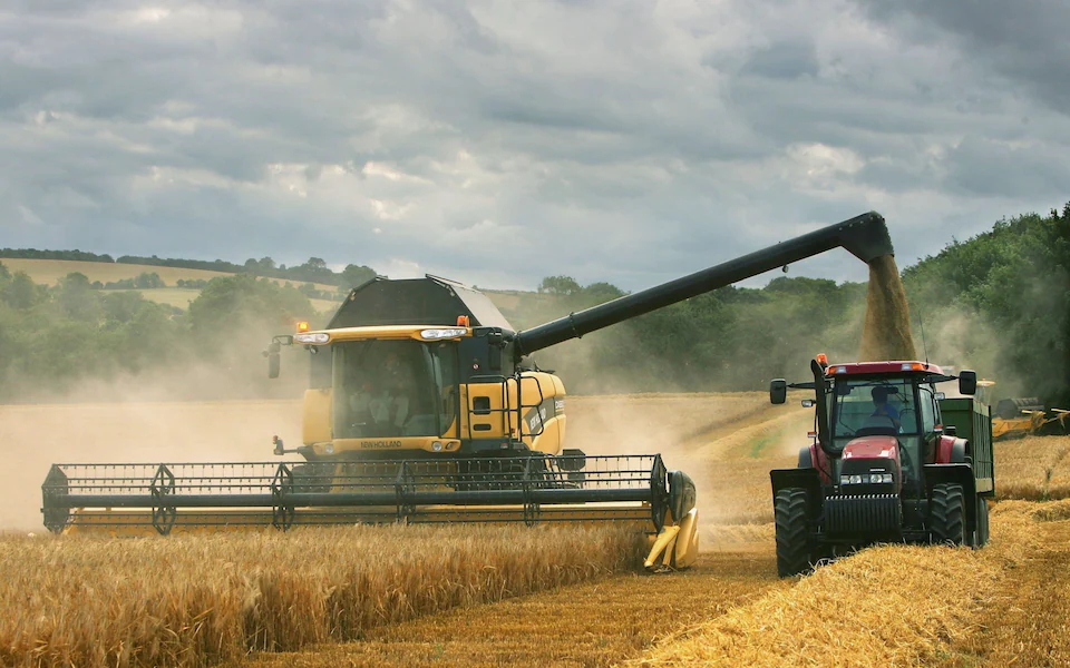 موسم حصاد القمح