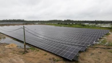 Photo of قفزات قياسية بالطاقة الشمسية في أفريقيا.. و4 دول عربية تقود النمو خلال 2025