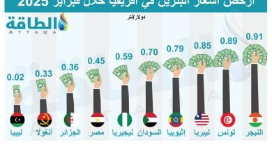 Photo of أرخص أسعار البنزين في أفريقيا خلال فبراير.. 5 دول عربية بالقائمة