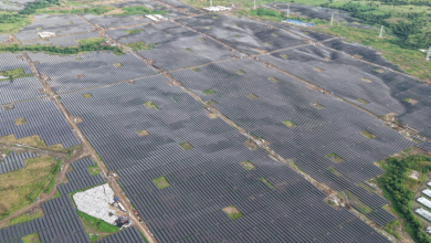 Photo of أكبر مشروع طاقة شمسية مع تخزين الكهرباء في العالم يحقق إنجازًا غير مسبوق