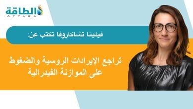 Photo of النفط الروسي إلى الهند.. انخفاض في الإيرادات والتفاف على العقوبات (مقال)