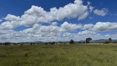 Photo of أكبر بطارية تخزين كهرباء ومحطة شمسية هجينة في أستراليا تشهد حدثًا مهمًا
