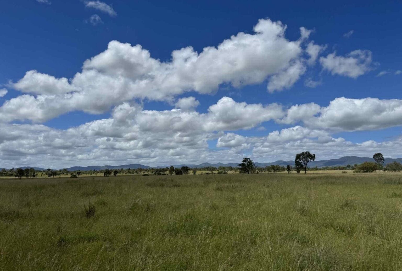 أكبر بطارية تخزين كهرباء ومحطة شمسية هجينة في أستراليا