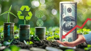 Photo of أزمة تمويل الطاقة النظيفة في أفريقيا.. ما دور دول الخليج في سد الفجوة؟ (تقرير)