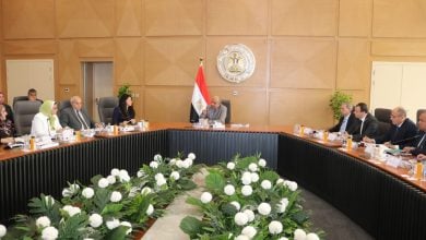 Photo of شبكة الكهرباء في مصر تستعد لاستيعاب الطاقة المتجددة