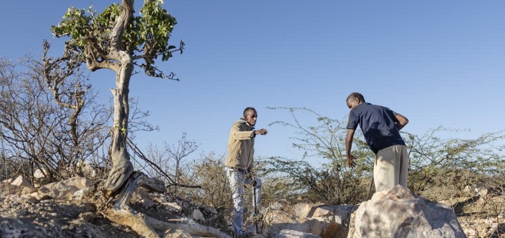 عمال تعدين في أرض الصومال