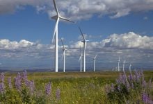 Photo of إبيردرولا تتخلص من استثمارات الطاقة المتجددة البرية في فرنسا