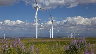 Photo of إبيردرولا تتخلص من استثمارات الطاقة المتجددة البرية في فرنسا