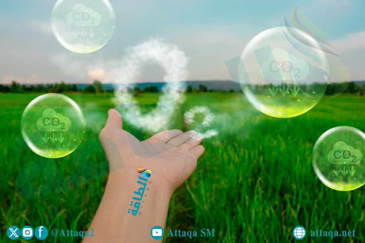 دراسة تؤكد أهمية الزراعة العضوية في خفض الانبعاثات