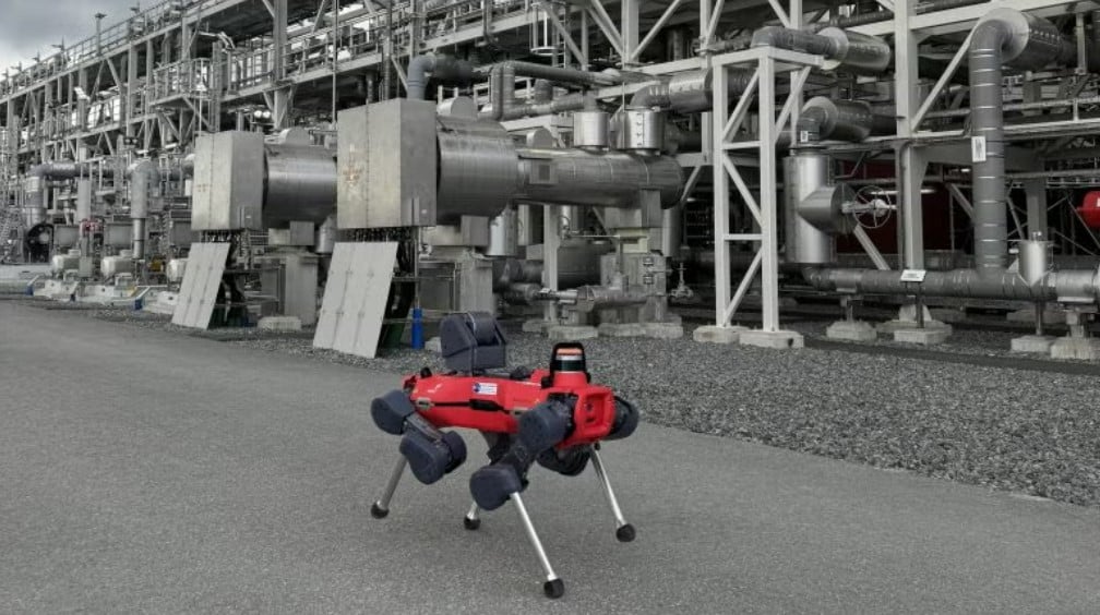 الروبوت أنيمال روبرتا 