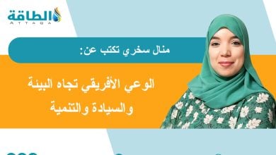 Photo of قمة أديس أبابا 2026.. المياه والطاقة تحددان ملامح السيادة البيئية في أفريقيا (مقال)