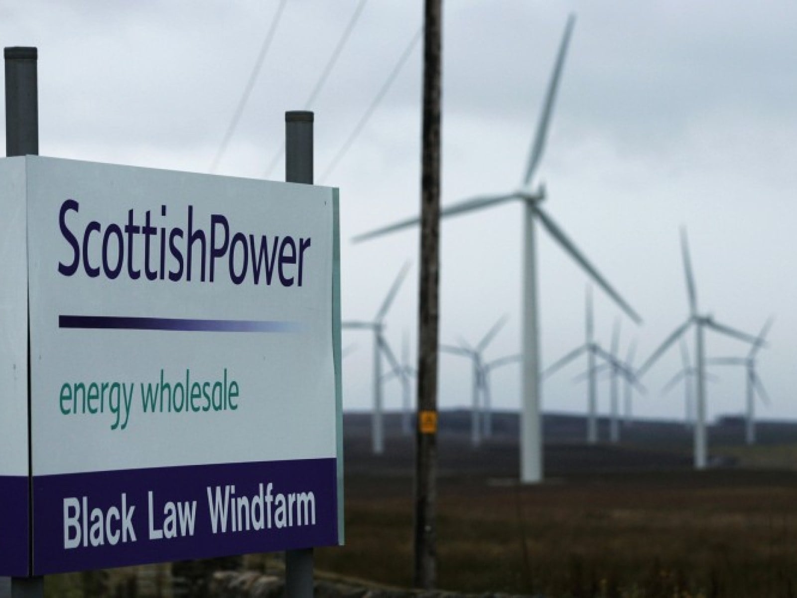 مزرعة تابعة لشركة سكوتيش باور 