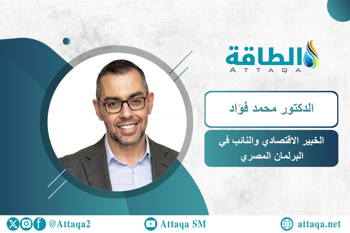 عضو مجلس النواب الدكتور محمد فؤاد