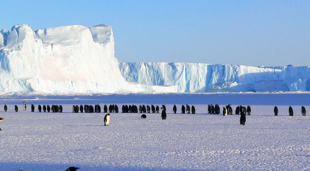 تغير المناخ