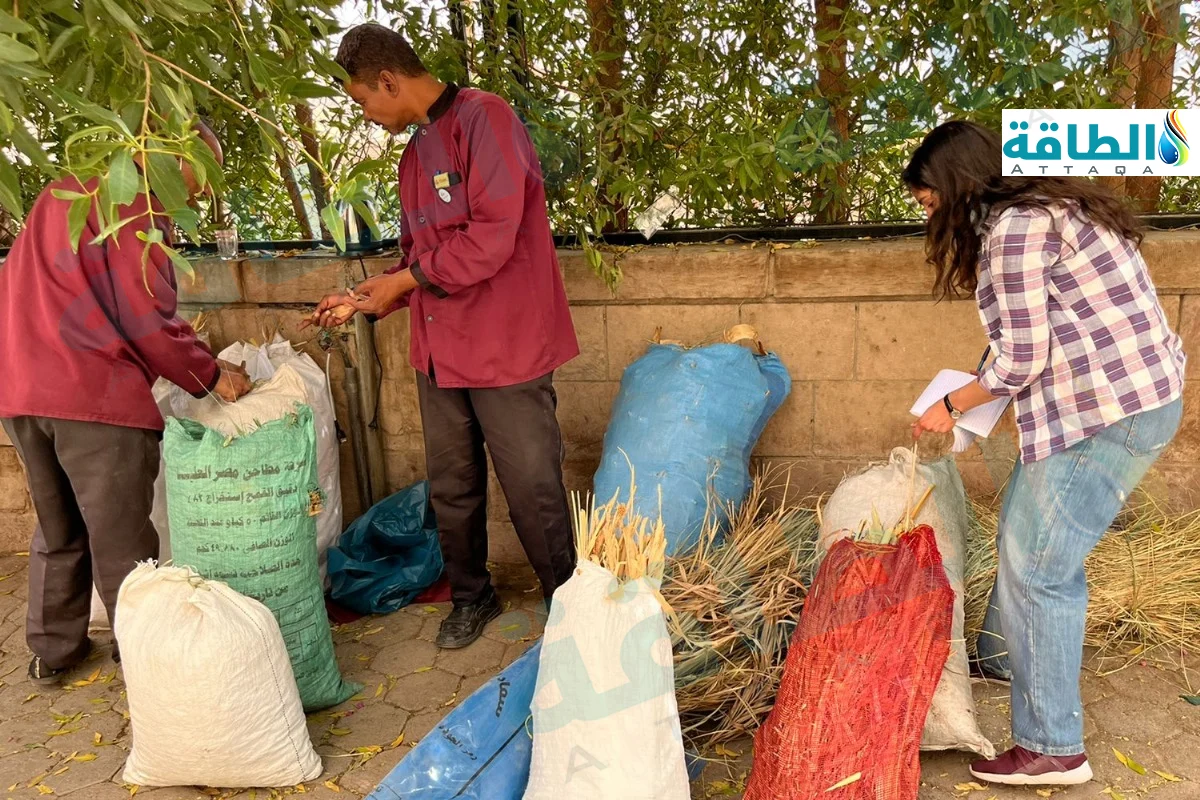 جمع عينات من المخلفات لإنتاج الغاز الحيوي في أحدى القرى المصرية