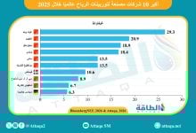 Photo of قائمة أكبر 10 شركات مصنعة لتوربينات الرياح تشهد مفاجآت (إنفوغرافيك)