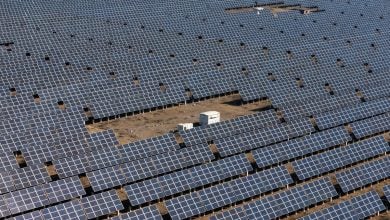 Photo of الطاقة المتجددة في الصين.. إستراتيجيات خضراء تعزّز النمو وتخفّض الانبعاثات (تقرير)