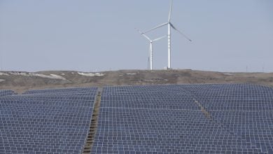 Photo of الطاقة المتجددة في الصين تعزز استقرار انتقال الطاقة عالميًا