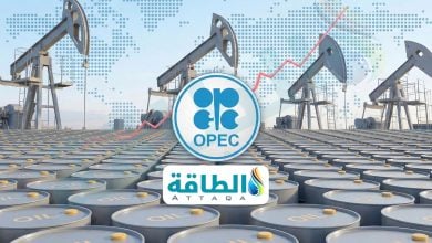 Photo of إنتاج أوبك+ النفطي في فبراير يرتفع 445 ألف برميل يوميًا