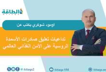 Photo of لماذا تتراجع صادرات الأسمدة الروسية.. وهل تهدد العالم بأزمة إنسانية؟ (مقال)