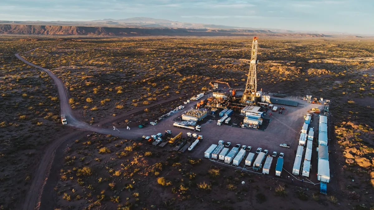 حوض فاكا مويرتا الأرجنتيني