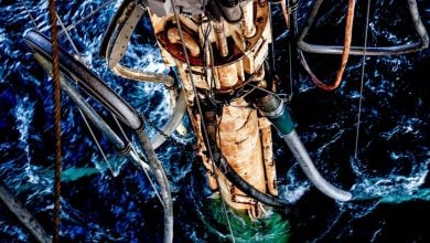 Photo of اكتشاف نفط وغاز في بحر الشمال باحتياطيات 17 مليون برميل مكافئ