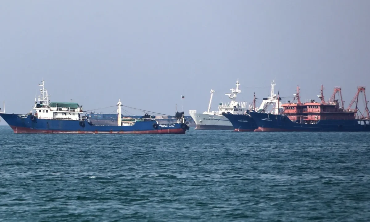 سفن في مضيق هرمز