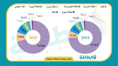 Photo of مزيج توليد الكهرباء في الهند خلال 2025.. كم تبلغ حصة الفحم؟ (إنفوغرافيك)