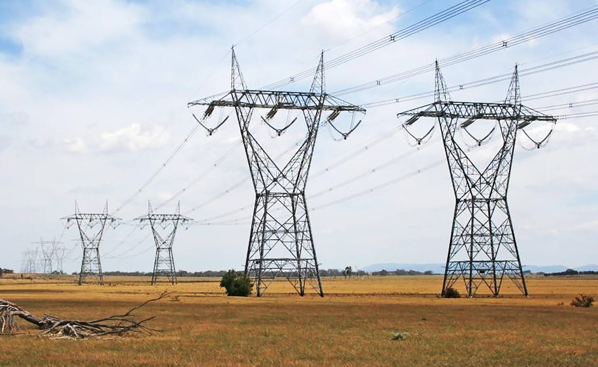 أول شبكة خضراء ضخمة في العالم