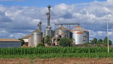 Photo of رفع نسبة مزج الديزل الحيوي في ماليزيا إلى 15% تدريجيًا