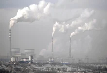Photo of الفحم في الصين.. قصة مقاطعتين تسيئان لسمعة تحول الطاقة