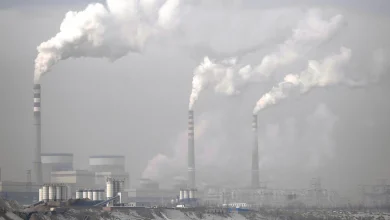 Photo of الفحم في الصين.. قصة مقاطعتين تسيئان لسمعة تحول الطاقة
